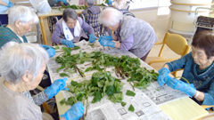 ふくがくちの里 6月