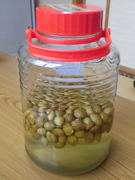 ふくがくちの里 6月