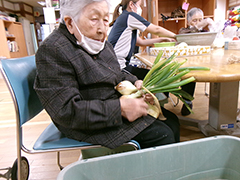 採れたよ玉ねぎ 7/12